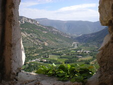 Lierre