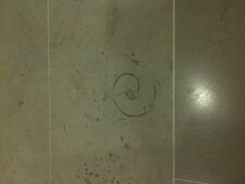 Nautile ou ammonite ?