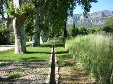Jardin méditerranéen