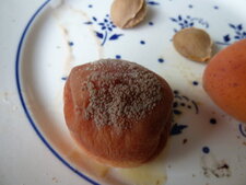 Moisi sur fruits