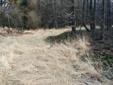 Incendie dans les monts d