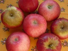 Pommes variété "Akane"