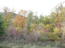 Couleurs d