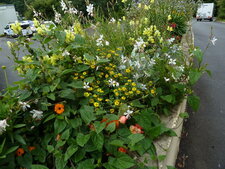 Jardinière fleurie
