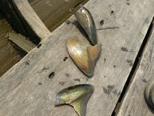 Moules d