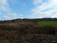 Paysage breton.