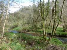 La vallée du Queffleuth.