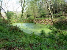 La vallée des mondes perdus