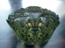 Carapace de crabe vert