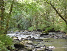 Rivière corrézienne