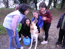 Chien et 6 humains