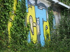 Friche maritimo-urbaine