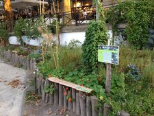 petit jardin des bords de Loire