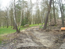 Bordure de Forêt 