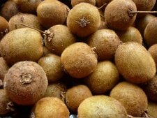 Kiwis des monts d