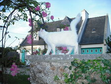 chatte botaniste