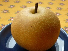 Pomme-poire Nashi