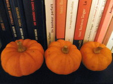Jack be little (courge pomarine)