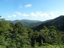 Vue générale sur la végétation