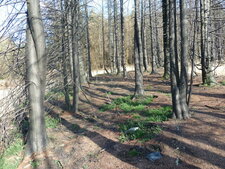 Incendie dans les monts d