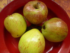Encore des pommes !
