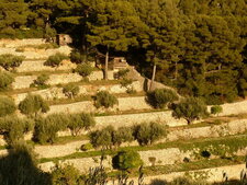 Restanques