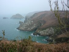  Ptéridaie atlantique (la lande en hiver)