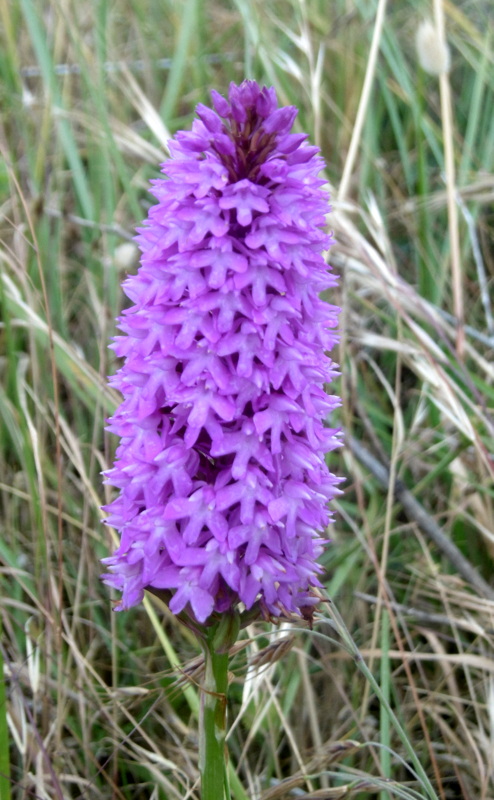 P1210258