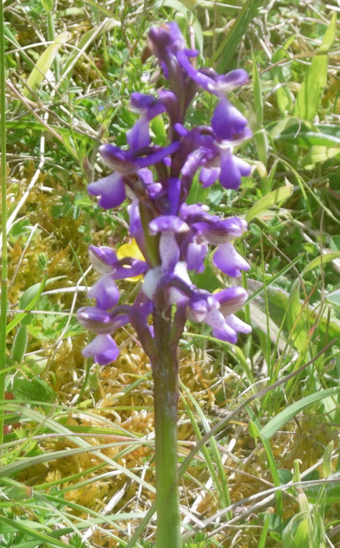 P1000259 001