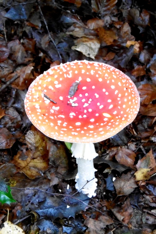 P1140040