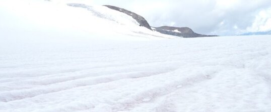 Chlamydomonas Nivalis, le sang des glaciers