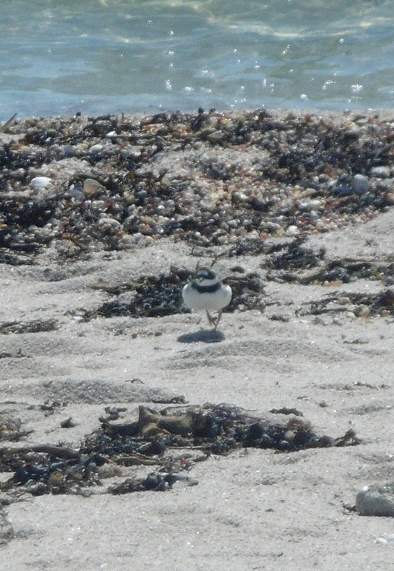 P1120690