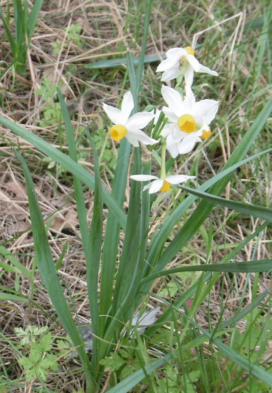 P1120461