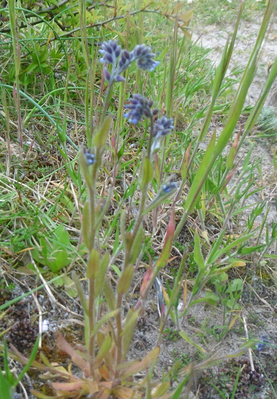 P1000166