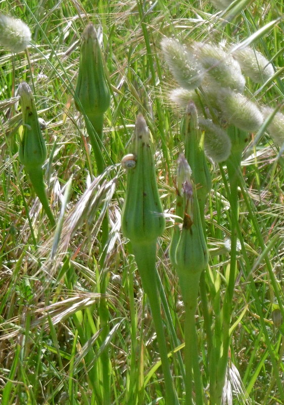 P1000411