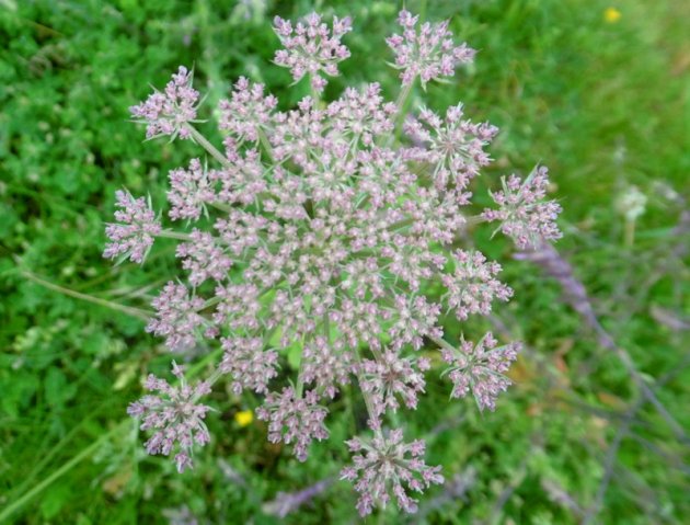 P1280064