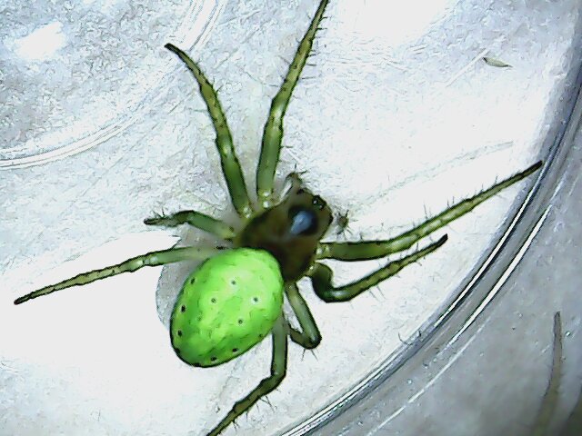 2014 05 25 162050