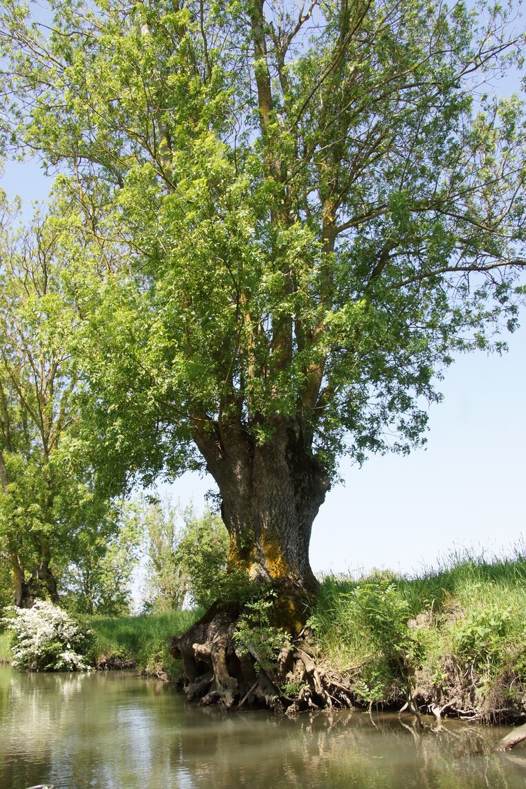 DSC01401