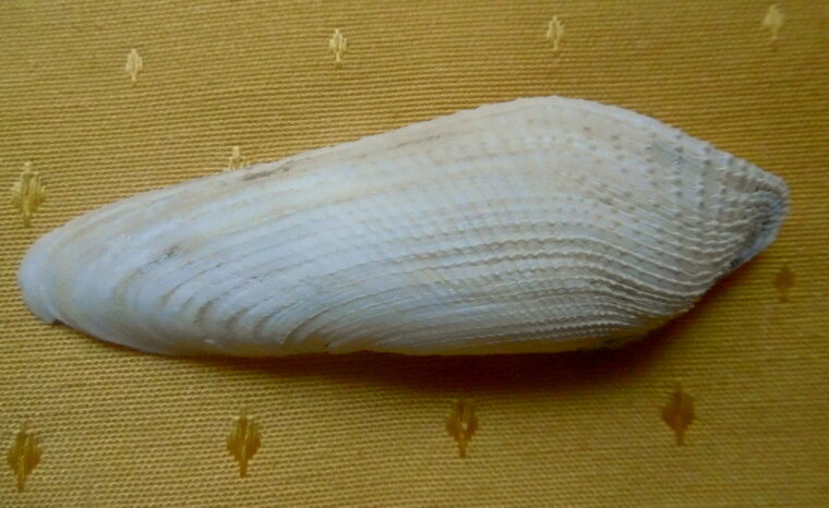 P1280984