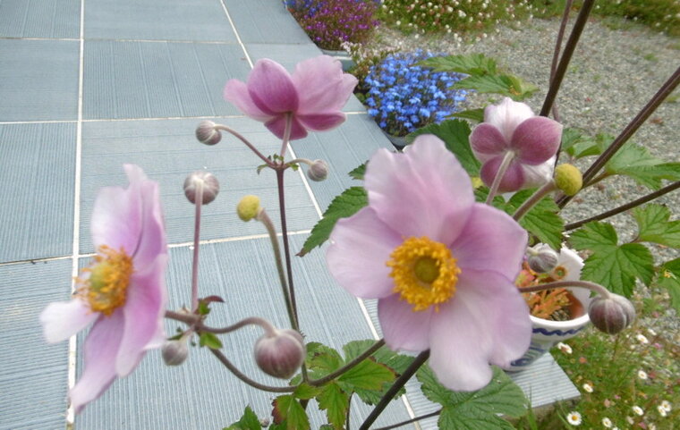 P1280202