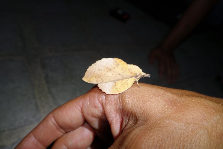 DSC02177