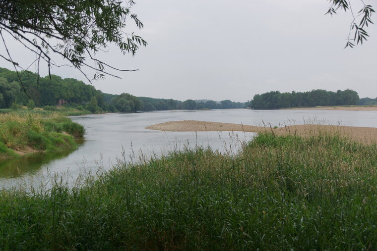 La Loire depuis l Îlot d Or à Amboise