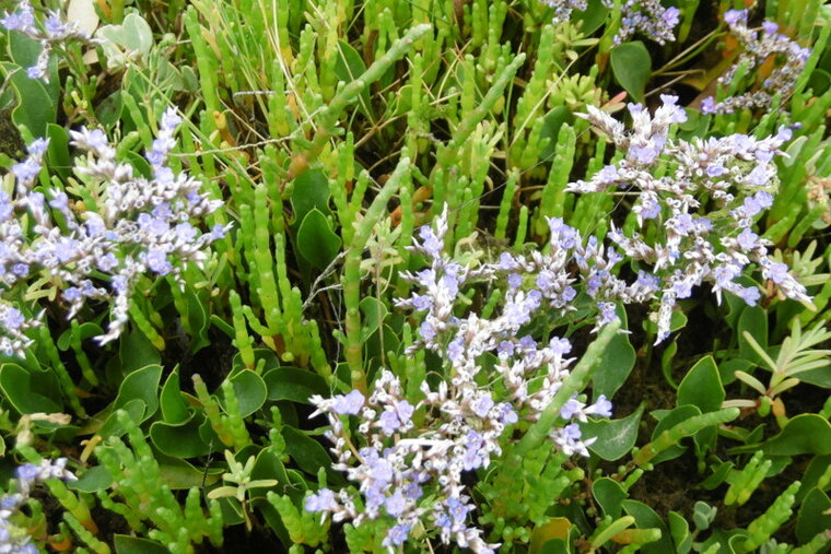 P1100766