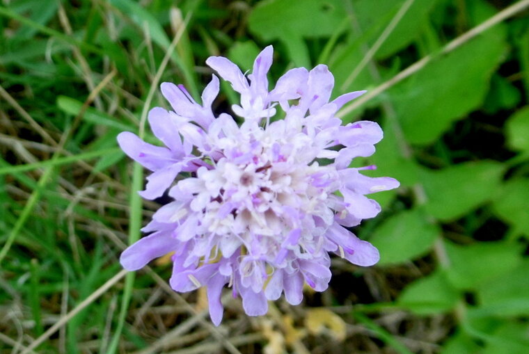 P1280059