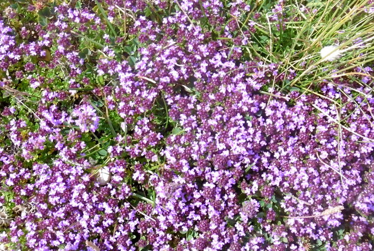 P1000675