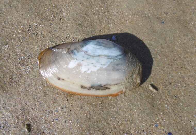 P1170503
