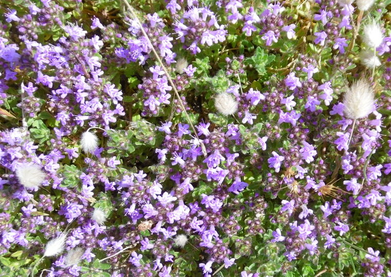 P1270842