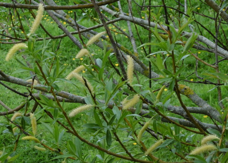 P1100311