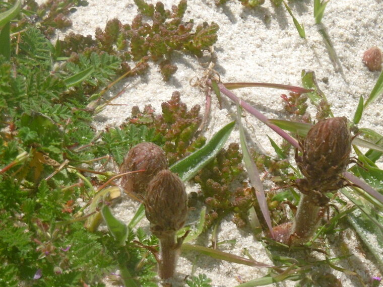 P1000253